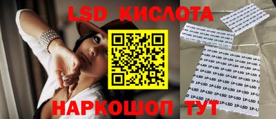 прущие крисы Донской