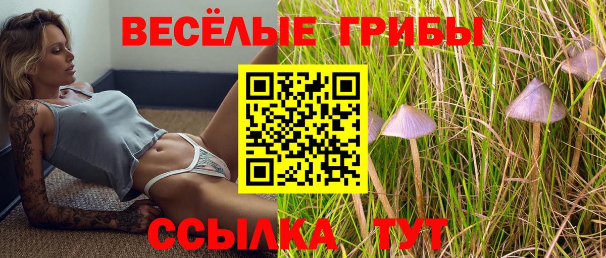 Псилоцибиновые грибы GOLDEN TEACHER  Галлюциногенные грибы прущие грибы  Вход с VPN  Королёв 